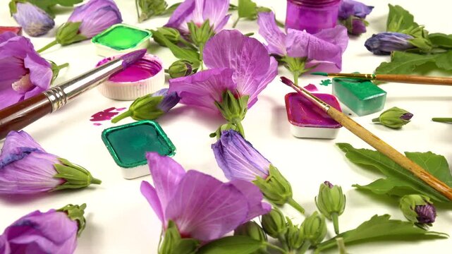 Flowers of purple mallow flowers, pans of various green, pink, purple paints, painting brushes laid out on a white background, side view, colors of nature