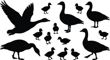 Goose and duckling silhouettes, waterfowl family, swimming birds, farm poultry, flying goose, wild geese collection, nature wildlife black shapes © MstSumi