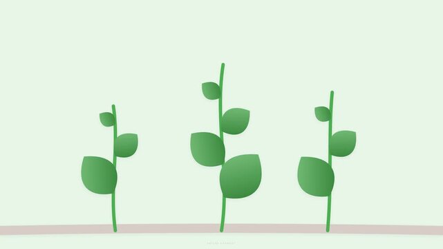 Green seedling growing sequence animation in flat style