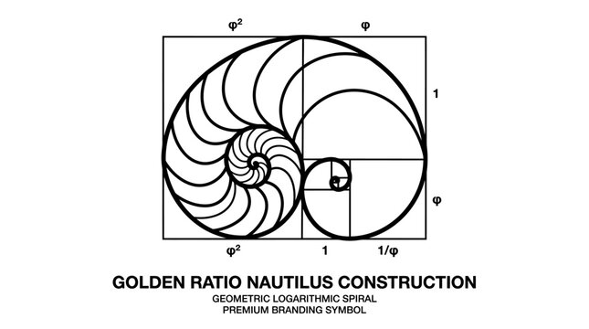 Golden Ratio Nautilus Spiral Construction - Geometric Logarithmic Spiral