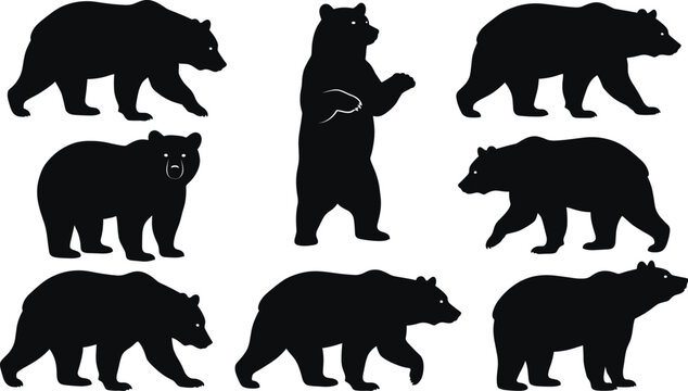 Grizzly and brown bear silhouettes, wild forest animal collection, standing bear, walking grizzly, nature wildlife shapes, predator silhouettes, black animal outlines