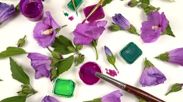 Flowers of purple mallow flowers, pans of various green, pink, purple paints, painting brushes laid out on a white background, top view, colors of nature