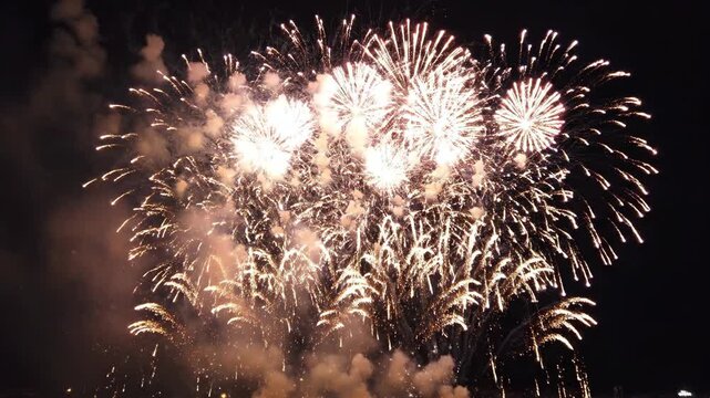 Multiple colorful fireworks bursting over a dark background.
