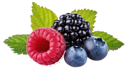 Isolated fresh berry mix with raspberry, ripe blackberry, blueberries, and green leaves © Oisin