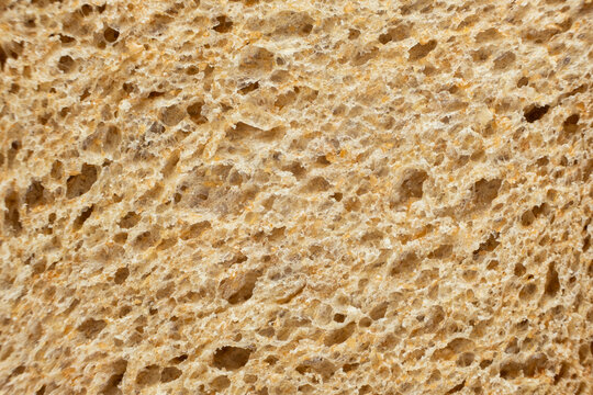 Macro texture of whole wheat bread crumb, detailed food background.
