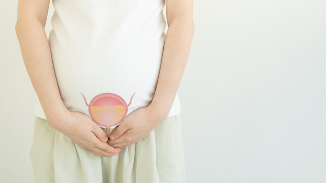 Incontinence and frequent urination during pregnancy. Bladder with urine illustration on pregnant woman body against gray background.