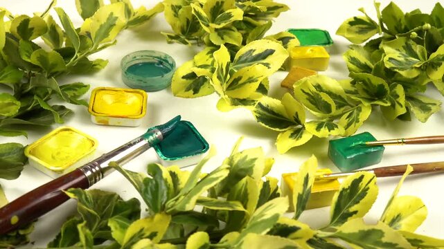 Twigs of euonymus, pans of various green and yellow paints, painting brushes laid out on a white background, side view, colors of nature