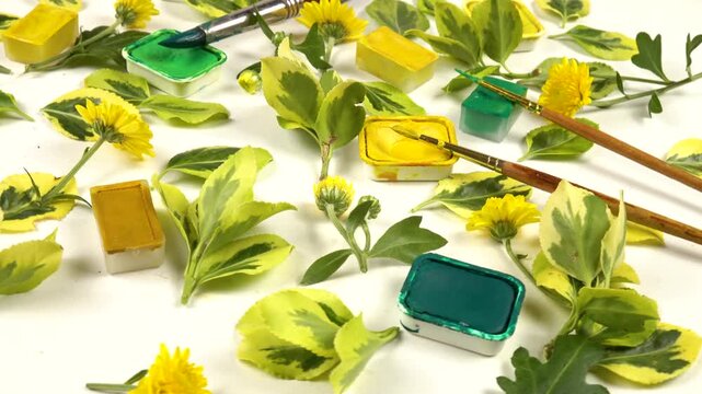 Twigs of euonymus, flowers of yellow small chrysanthemums, pans of various green and yellow paints, painting brushes laid out on a white background, side view, colors of nature