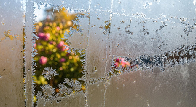 Frost Covered Window Revealing Blooming Spring Flowers Symbolizing Seasonal Transition from Winter to Spring