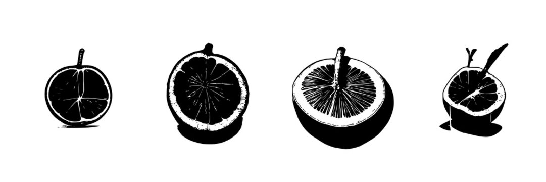 Laboratory-grown mangosteen cross-section set with solid black silhouette featuring exotic future food theme and white background