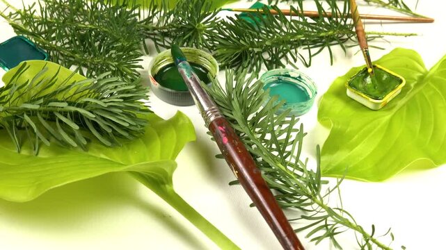 Hosta leaves, branches of cypress spurge, pans of various green paints, painting brushes laid out on a white background, side view, colors of nature