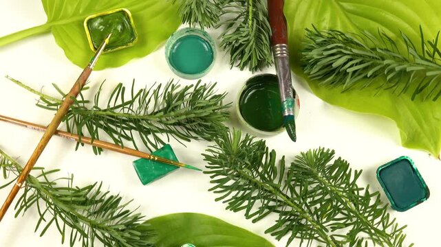 Hosta leaves, branches of cypress spurge, pans of various green paints, painting brushes laid out on a white background, top view, colors of nature