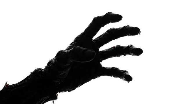 Zombie hand reaches forward with decayed fingers