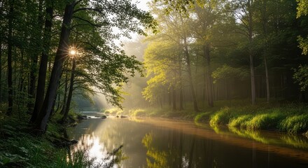 Fototapeta premium Serene forest river scene with sunlight filtering through trees. Tranquil nature landscape for outdoor and environmental themes.
