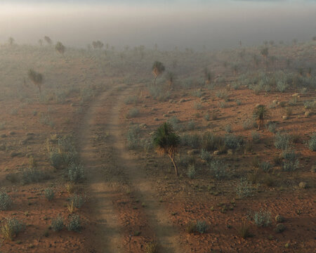 Yucca trees in an arid misty landscape. Aerial shot. 3D rendered image.