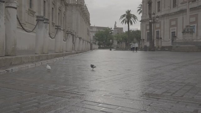 Historic street in Seville, Spain Day