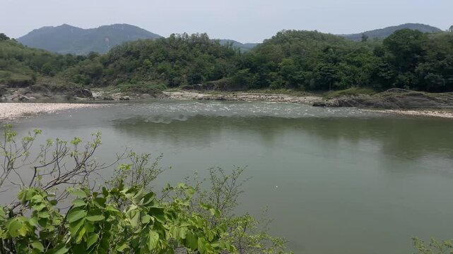 panaromic view of pond situated in the middle of pine covered forest of himchal pradsh india 0125.