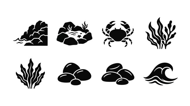 Oceanic Icons: Crab, Seaweed, Rocks, Wave, Tide Pool - Black and White Vector Graphics