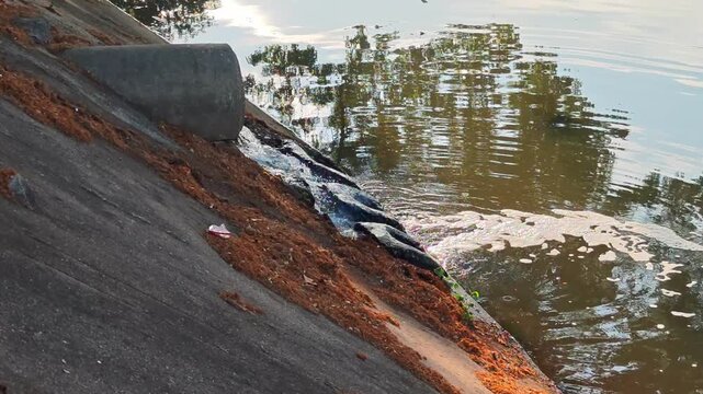 Wastewater flowing into a river