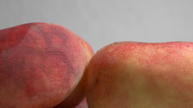 Close-up of fresh flat Saturn peaches rotating on a white plate, showcasing their fuzzy red skin and unique donut shape under bright studio lighting.