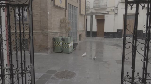 Seville, Day 