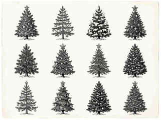 Obraz premium Collection of vintage style ink sketch christmas trees for holiday design