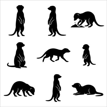 Set of Meerkat Silhouettes in Various Poses on White Background