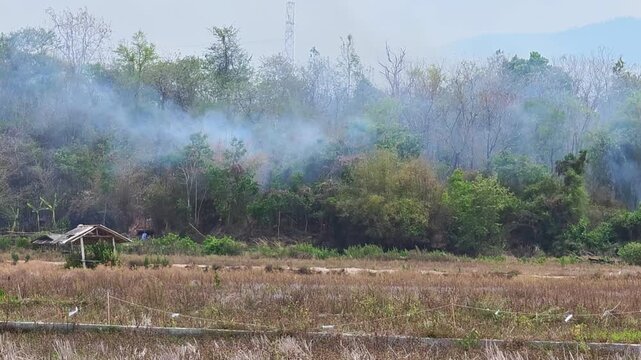 Wildfire , Wildfire Smoke , PM2.5