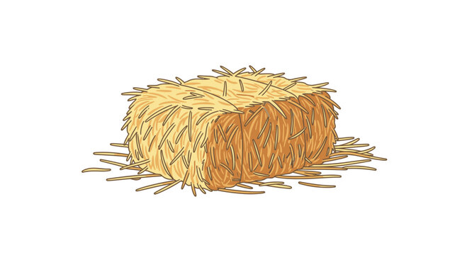 Hay Bale on Ground