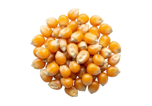 Pile of golden corn kernels close up