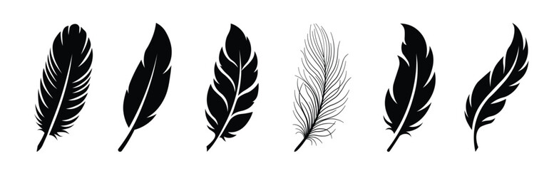 Set of black feather silhouette and outline icons on white background. © โยธิน ทุมจีน