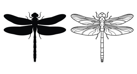 Dragonfly Silhouette And Line Art Illustration On White Background © Gazi.