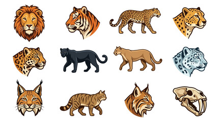 Collection of Big Cats and Wild Felines: Lion, Tiger, Leopard, Jaguar, Puma, Lynx, Snow Leopard © Ojing