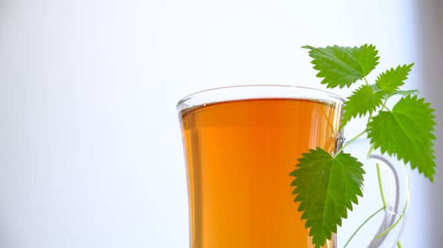 Cup of tea, decoction with fresh stinging nettle. Alternative medicine. Herbal tea. Detox. Homeopathy medicine remedies. Space for text