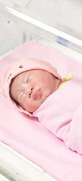 Swaddled Newborn Baby Girl Sleeping Peaceful in Hospital Incubator