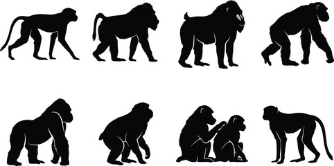 Fototapeta premium Primate Silhouette Collection Featuring Monkeys, Apes, and Great Apes for Wildlife Vector Design