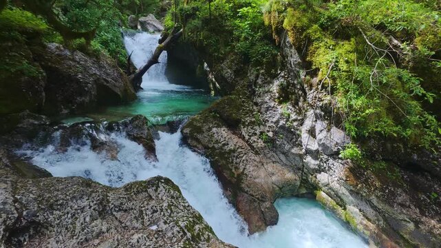 Turquoise water flows rapidly over rocks and cascades through a lush green forest gorge in &Scaron;unik Water Grove, located in Lepena Valley, Slovenia.