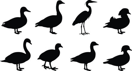 Obraz premium Waterfowl Bird Silhouette Collection Featuring Ducks Geese Swan Heron and Marsh Birds Vector Set