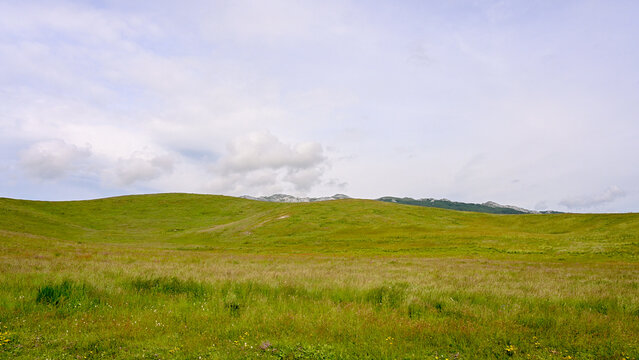 Morine, a karst mountain plateau in Bosnia and Herzegovina.  Vibrant green landscape with rolling hills under a soft cloudy sky. Panoramic view of lush green hills and countryside under overcast sky. 