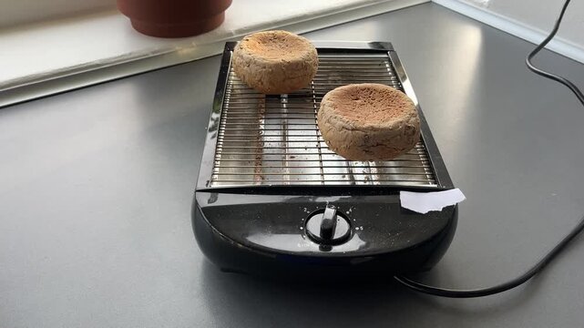 bread on a toaster