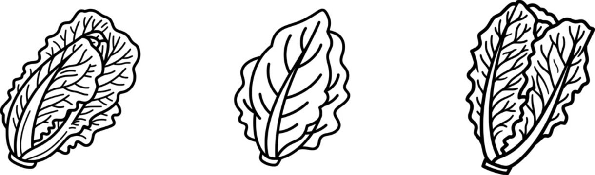 A minimalist black outline icon of a whole head of romaine lettuce, with thick uniform lines, isolated on a pure white background, in a flat vector style