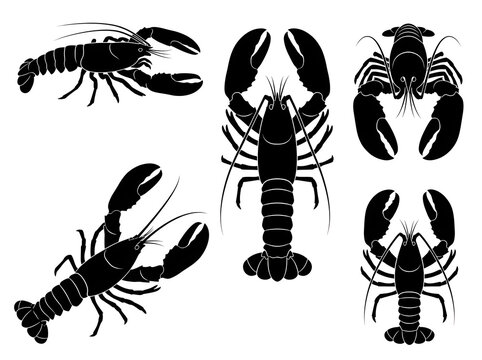 Vector collection of lobster and crawfish silhouettes for seafood menus and marine graphic designs