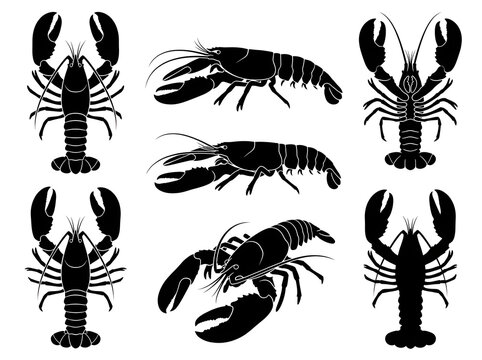 Vector collection of lobster and crawfish silhouettes for seafood menus and marine graphic designs