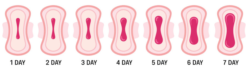Menstrual sanitary pad vector illustration showing feminine hygiene protection for menstruation, women's wellness, and healthcare product designs © Md Rezaul