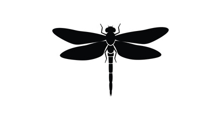 Dragonfly Silhouette Against A White Background Minimalist Insect Shape © Sonia512