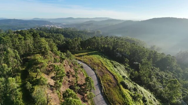 Aerial Drone Shot of a Road crossing a forest at Daytime