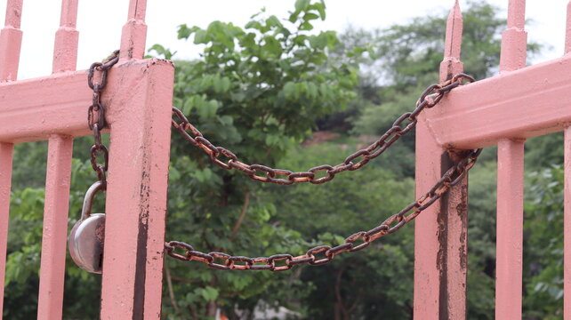 Close-up of a pale pink metal gate securely locked with an old rusty iron chain and a silver padlock, set against a softly blurred green foliage background.
