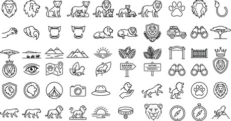 Set of african safari and lion themed hand drawn line vector icons with wildlife © Abida