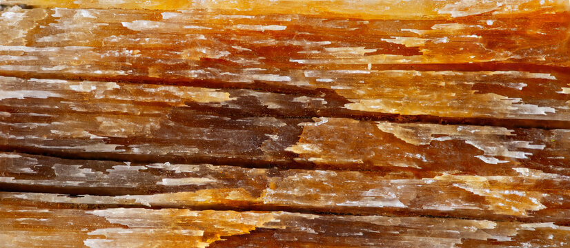 Crystal formations of gypsum in natural light with detailed texture