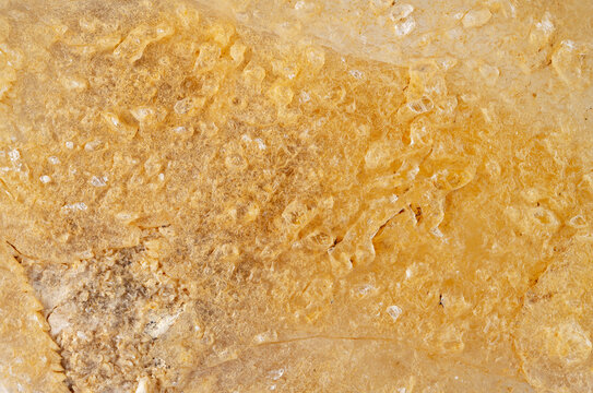 Crystal formation of gypsum with clear structure and texture in natural setting
